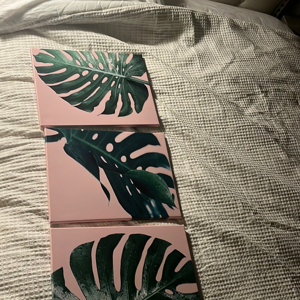 Amazon Pink and Green Tropical Leaf Wall Art Set
